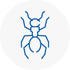 Ant Removals In Spalding