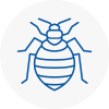 Bed Bug Extermination In Spalding