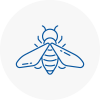 Bee Nest Removal Spalding