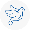 Bird Prevention Spalding