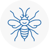 Spalding Hornet Nest Removals
