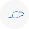 Mice Exterminators In Spalding