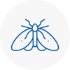 Moth Control Specialists In Spalding