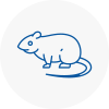 Rat Control Spalding