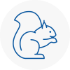 Spalding Rodent Removals
