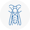 Spalding Wasp Nest Removal